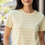 Everlane Yellow Organic Cotton Striped Short Sleeves Crew Neck XS NWT Photo 0