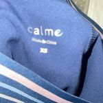 Calme Skort Womens XSmall Skirt Shorts Tennis Gym Active Blue Preppy Size XS Photo 3