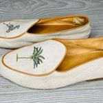 Bing xu vero Photo 4