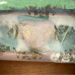 Juicy Couture Retro Pam & Gela Green White Tan Shamrock Zip-Up Pouch Photo 3