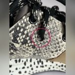 Steve Madden  Cliff Sneakers. Photo 6