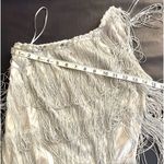 Shimmery Silver Flapper 20's Vibe Costume Photo 5
