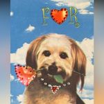 Just For You Dog Purse with Bling Photo 1