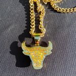 Gold Chain Cuban 24in 8mm And Icy Diamond Bull Pendant Set Photo 3