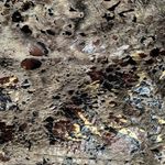 Regent Park Womens Large‎ Faux Fur Brown Metallic Gold Coat Jacket Shiny Animal Photo 10