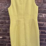 Tahari  Dress Photo 1