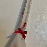 Flora Nikrooz Flora White Red Floral Slip Dress Nightgown Large
Adjustable Straps Babydoll Photo 3