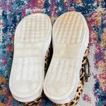 Steve Madden  Caliber Leopard Wedge Sneaker Bootie size 6 Mobwife Photo 6
