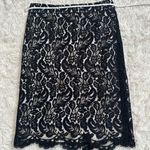 White House | Black Market Sz 6 Lace Pencil Skirt Knee Length Scallop Edge Zip Photo 2