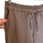 Athleta Straight Leg Soft Lounge Sweatpants In Taupe Size Large Photo 2