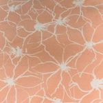 Banana Republic Woman’s Print Shorts Size: 2 Photo 3