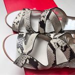 Kelly & Katie  Deenah Women’s Animal Print Sandals Sz 6.5 Photo 2