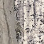 The North Face Goose Down 550 Metropolis Parka Photo 4