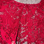 Elegant Red Lace Crop Top Photo 1