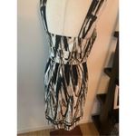 Ann Taylor  animal print dress size 4 work dress or going out Photo 2