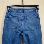 3x1  Hollow Higher Ground Grommet Boyfriend Crop Dita Jeans $365 Size 24 Photo 8
