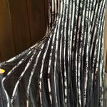 Maner Black and White Striped Dress Photo 12