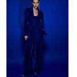 ZARA  Blue Velvet Velour High Waist Wide Flared Leg Crop Ankle Trousers Pants S Photo 3