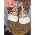 JSlides J/Slides Women’s Slip on Python Sneakers 6 Photo 3