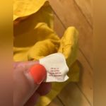 Anthropologie Maeve Golden Yellow Embroidered Dress Photo 6