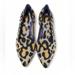 Rothy's  Big Cat Knit The Point Ballet Flats Casual Comfortable Size 9W preowned Photo 2