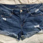 American Eagle Shorts Photo 0