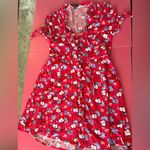 EXPRESS Red Floral Dress with Blue Accents Photo 3