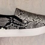 Soda  Snakeskin Shoes  Photo 1