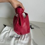 Cuyana New Mini Bow Bag Raspberry, Pebbled, Gold Photo 2