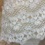 VINTAGE Lace Wedding Dress and Veil Size undefined Photo 0
