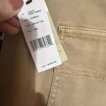 Liverpool NWT  UTILITY
CROP CARGO Photo 7