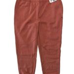 Champion NEW!  Women's Fleece Joggers Sandalwood Red Size XXL Photo 1