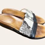 Gentle Souls Black Snake Print Leather Slip On Open Toe Slide Sandals Size 8 Photo 1