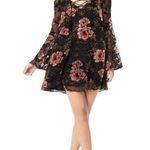 Cupcakes and Cashmere 💕💕 Valda Swing Dress Photo 0