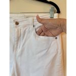 Adriano Goldschmied Ex Photo 3