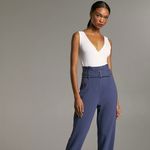 Aritzia Babaton Lido Bodysuit Photo 2