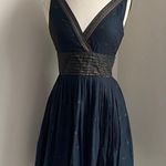 Isaac Mizrahi  Target Dress Womens Sz 4 Navy Gold Fit and Flare Pleated Deep Cut Photo 0