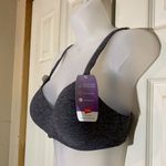Hanes  Cool Comfort Ultimate Tee Shirt Bra Dark Gray 36B NWT Photo 3