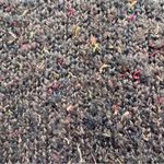 Brown Sweater with Jewel Tone Multicolor Thread Flecks Rolled V Neckline Size 1X Photo 2