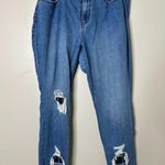 NY & C Curvy Boyfriend Womens Jeans Size 16 STraight Blue Distressed Plaid Photo 0