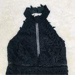 Bardot Black Lace Halter Midi Dress Party Cocktail Formal Sheer Size 6 Small New Photo 4