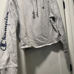 Champion Gray Cropped Hoodie Photo 0