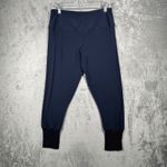 Sympli Crop Pant Minimalist Lagenlook Slinky Stretch Travel Quiet Luxury Comfort Blue Size 14 Photo 2