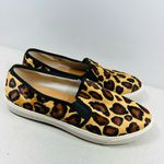 J.Crew  Animal Print Slip-On Sneakers size 10 Photo 1