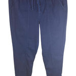 Skinnygirl Missy Womens Navy Blue Jogger Pants Zip Ankle Size M Career Office Size M Photo 0