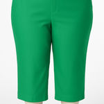 J.Crew  Kelsey Pants Womens 24 Bright Green Wide Leg Cropped Workwear Preppy Photo 0