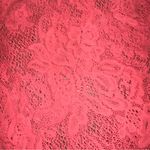 PINK - Victoria's Secret PINK Victoria’s Secret Crochet/Lace Cropped Tank Top Swim Coverup Photo 1