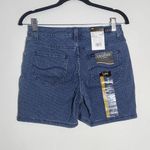 Stripe Denim Shorts NWT Size 4 Lee Mid-Rise Striped Jean Shorts Photo 3