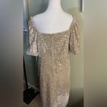 Julia Jordan  Women's Ivory Sequin Fit & Flare Velvet Sheath Dress Size 14 Photo 2