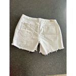 Sofia Vergara White Distressed Shorts size 12 White Photo 2